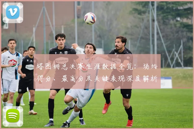 塔图姆总决赛生涯数据全览：场均得分、最高分及关键表现深度解析