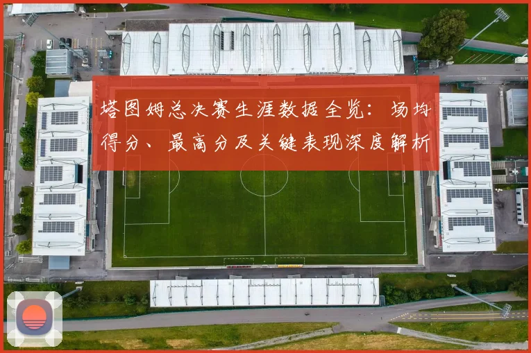 塔图姆总决赛生涯数据全览:场均得分、最高分及关键表现深度解析